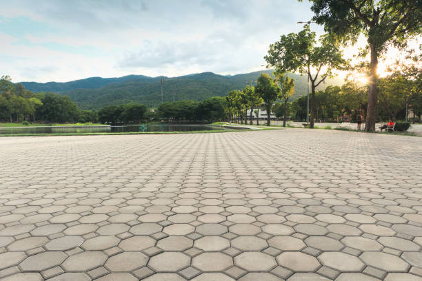 Best Concrete Paver Driveway  in Dumbarton, VA